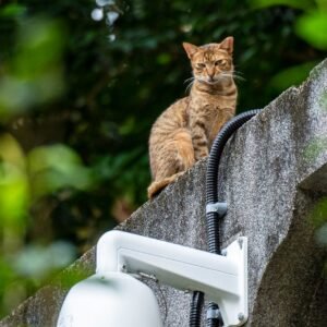 selective focus photography of cat above white security camera